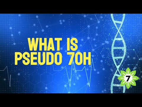 What is Pseudo in Relation to 7OH and Kratom?
