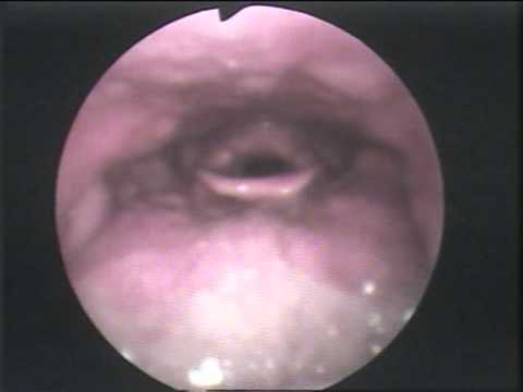 BAINOTTI MARIANO 19 07 11