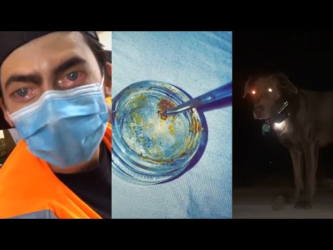 tiktoks that radiate weed energy [#10] - Fatally Stoned