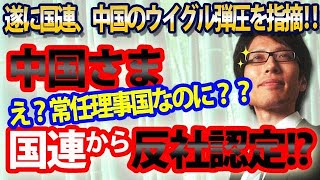 中国さま、常任理事国なのに国連より反社認定!?ウイグルで「深刻な人権侵害」!|竹田恒泰チャンネル2