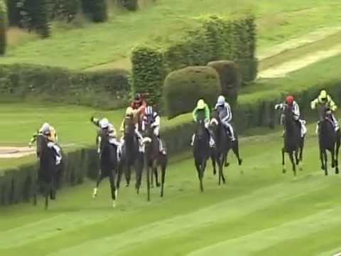 Düsseldorf, Persil-Rennen, 5.8.2012 - Sieger: Kolonel