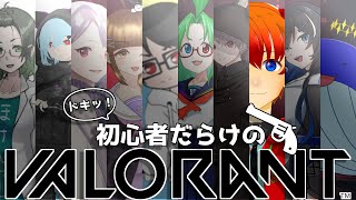 【#VALORANT】初心者だらけのヴァロカスタム【式波リン/VTuber】