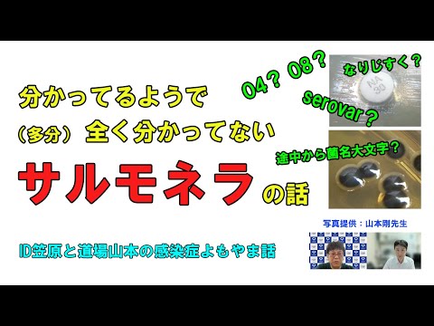看護学科 知ってるようで、たぶん全く知らない「サルモネラ」の話