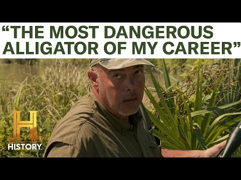 Swamp People: "#1 MOST DANGEROUS GATOR CATCH" (Season 13) | History