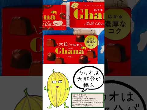薬学科 ガーナ