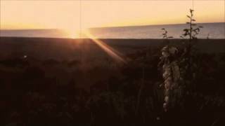 Avi Buffalo - Two Cherished Understandings