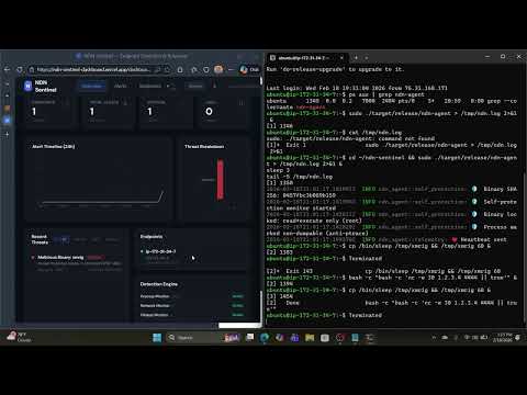 NDN Sentinel EDR Demo