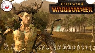 Orion's Fury  - Total War Warhammer Online Battle 254