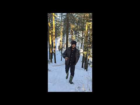 Kufri Current Situation in January | kufri Snowfall Update | Shimal Kufri | Himachal