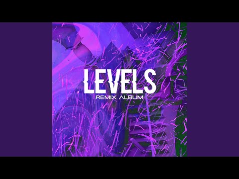 Levels (Sasha Katana Remix)