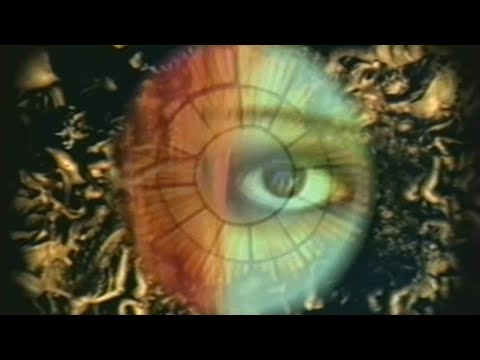 Video thumbnail for GARDEN