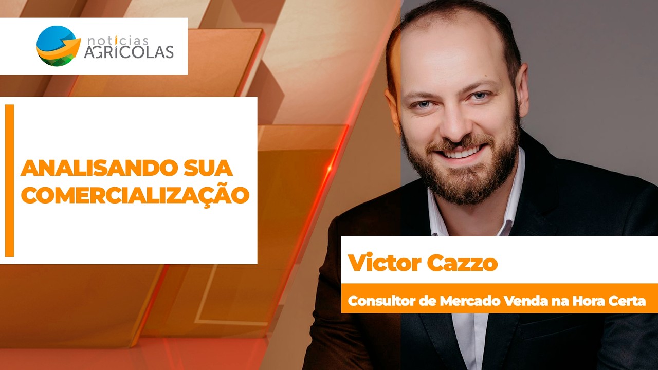 ANALISANDO SUA COMERCIALIZAÇÃO - EDIÇÃO 07-07-2026 - Gestão e Comercialização