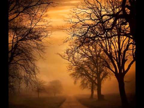 Pat Metheny & Toots Thielemans - Always And Forever