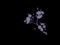 Anna Of The North Lovers Slowed Reverb