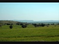 Mohsen Chavoshi - Bazare Khorramshahr 