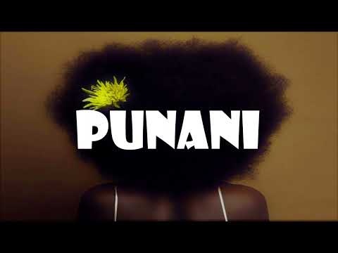 [FREE] Diplo X Nicky Jam Moombahton Type Beat - " Punani"| Moombahton Instrumental 2022.