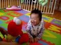 Baby Laughing At Elmo