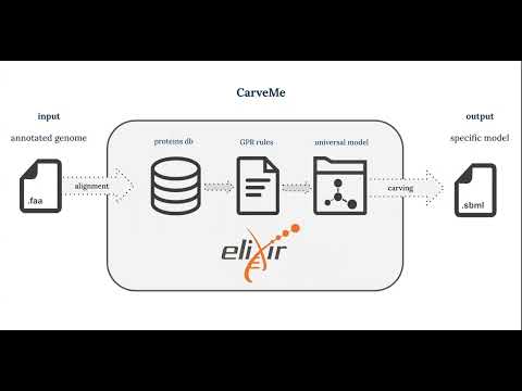 CarveMe roadmap: expanding genome-scale metabolic... - Miguel Teixeira - Poster - ISMB/ECCB 2023