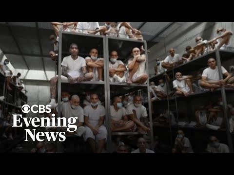 Breaking down court ruling on use of Alien Enemies Act to ...