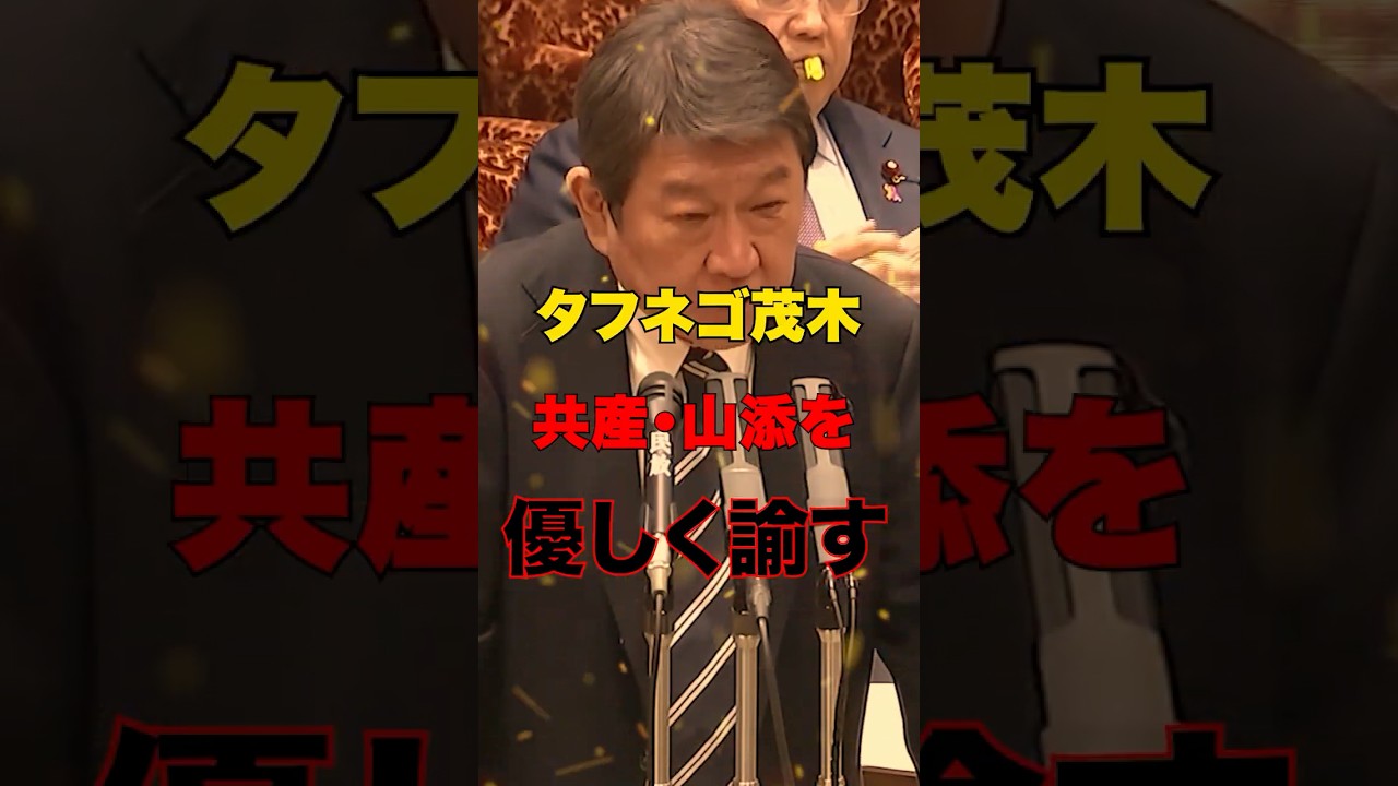 【茂木敏充】どうしてもアメリカに物を言わせたい共産・山添議員に外交のプロ茂木大臣が正論をぶつける#shorts