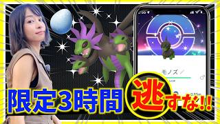 限定3時間、GOフェストに向けて絶対ゲットして！モノズのコミュニティデイ攻略ガイド【ポケモンGO】