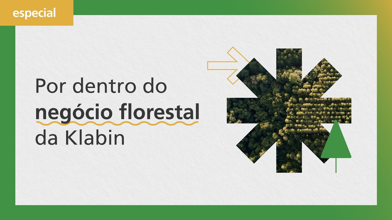 Como funciona o negócio Florestal da Klabin?