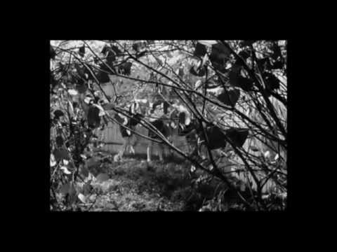 Fade II Black_Insync (Gennaro Mastrantonio & Billy Johnston RMX) Trailer