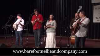 Barefoot Nellie &amp; Company - Crazy Gray