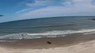 DJI FPV Wild Horses Outer Banks Life is Golden