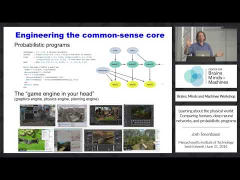 Learning about the physical world: Comparing humans, deep neural networks, and...