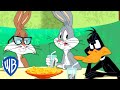 Looney Tunes En Latino El Nuevo Amigo De Bugsy WB Kids