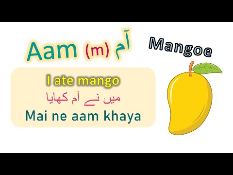 Lesson 1 Urdu Course for Beginners Use of I and Am in Urdu lära sig Urdu