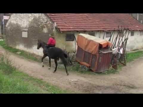 Goran Mešetović - dvostruki šampion džokeja Srbije