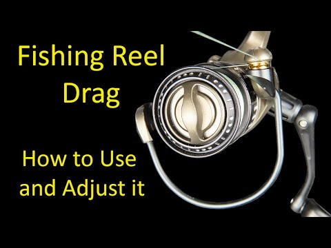 How to Use and Adjust Fishing Reel Drag Systems - Beginner Tips