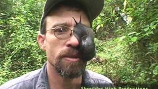 Dr. Brian Fisher - Snail Attack video