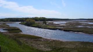 Red Roses Blooming Back Home--Stonewall Jackson
