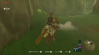 【SWITCH2】ゼルダの伝説　ブレスオブザワイルドを初見プレイ