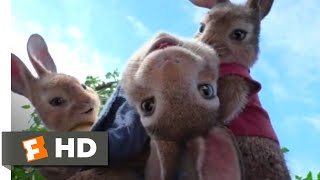 Peter Rabbit (2018) - House Party Scene (2/10) | Movieclips