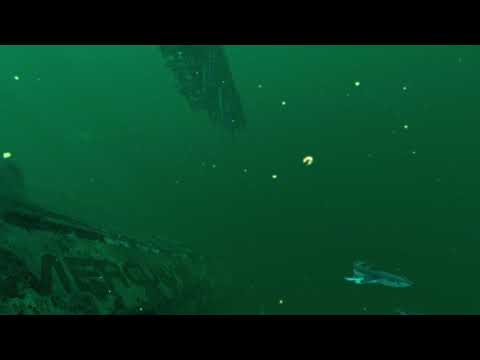 JT Music - Dont hold your breath