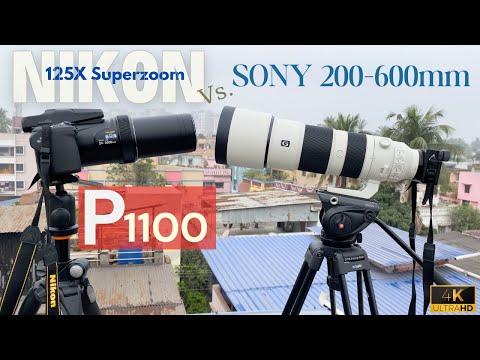 [Don't Buy Until You WATCH This!] - Nikon P1100 Vs. Sony 200-600mm | Distance, Bird, Moon & Jupiter