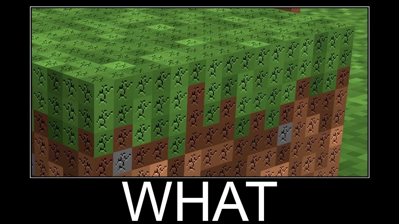 Minecraft WAIT WHAT #2496