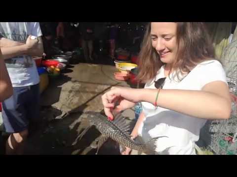 Vietnam 2018 pour ulule (musique libre droit)