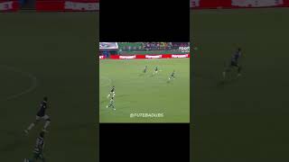 Chapecoense 2 x 0 Botafogo