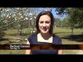 Legend Of The Dogwood Tree