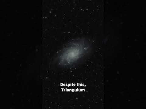 Our Galactic Neighbor - THE TRIANGULUM GALAXY #shorts