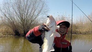 Рыбалка на кигаче 2019 осень