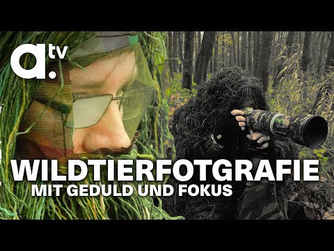 Die Kunst der Wildtierfotografie
