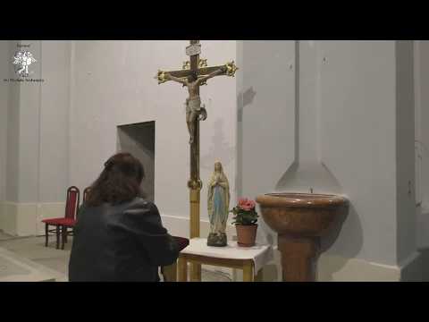 Slávnostný ruženec a Májové Loretánske litánie 31.05.2020