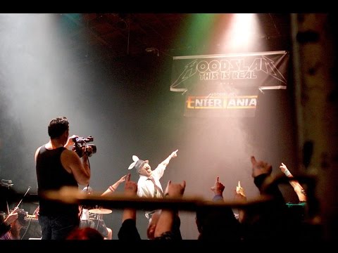 Drugz Bunny Comes Home