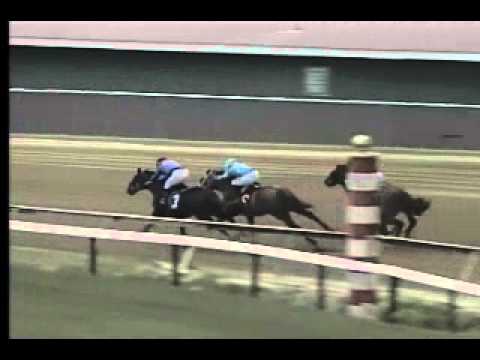 Pimlico 04/17/14 race 4